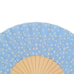 Ветрило Романс С